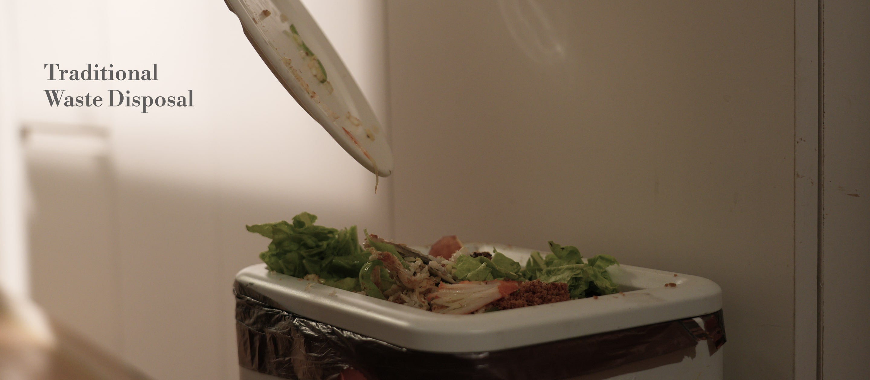 natridy kitchen composter