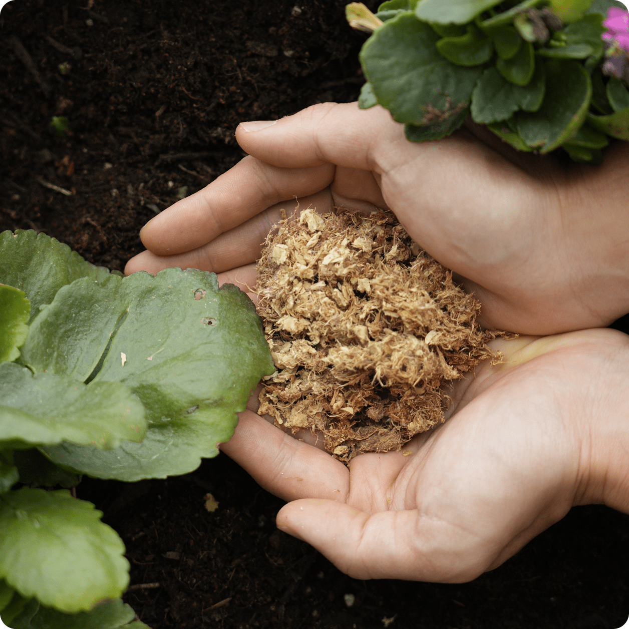 natridy kitchen composter