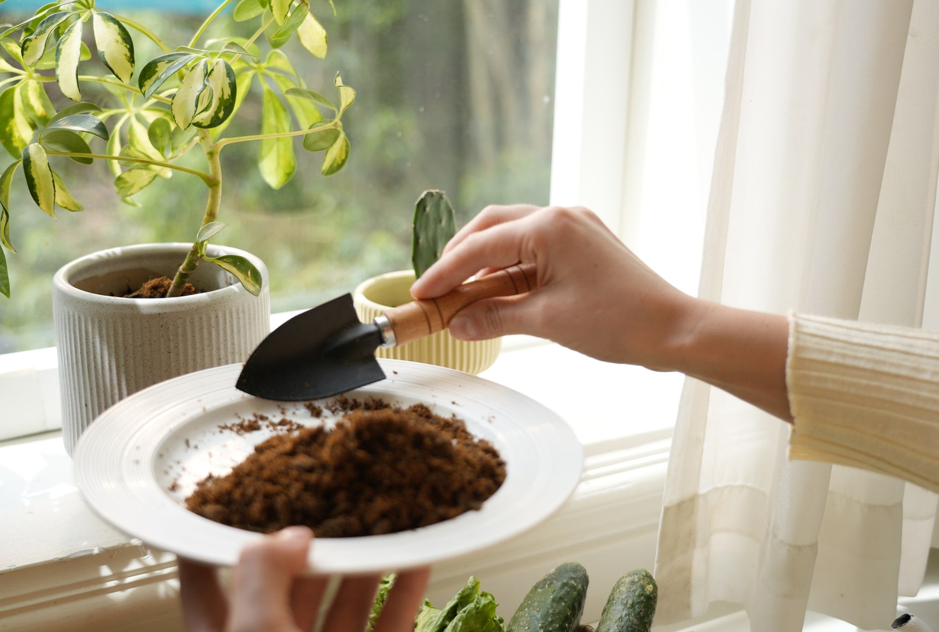 natridy kitchen composter