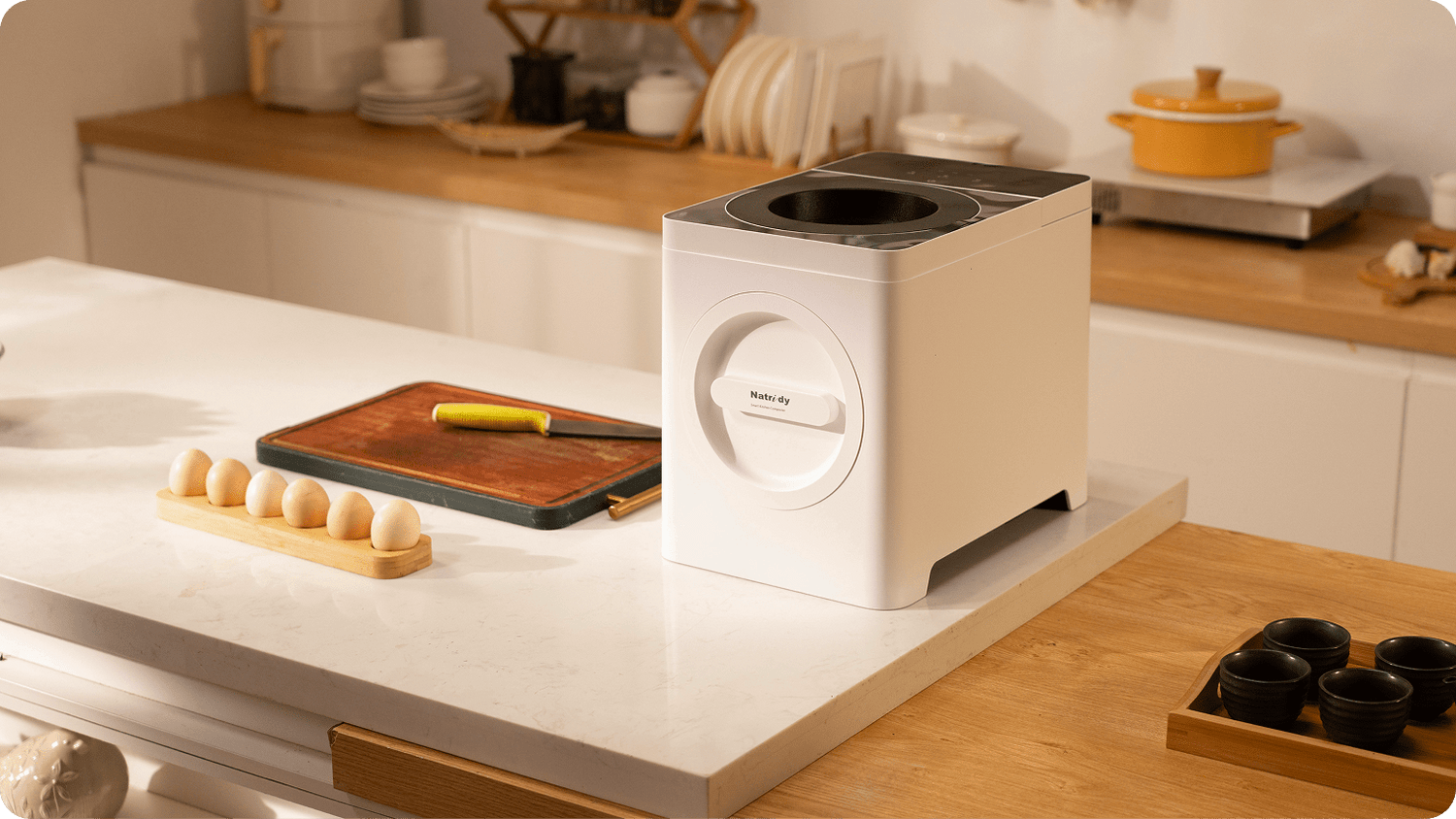 natridy kitchen composter