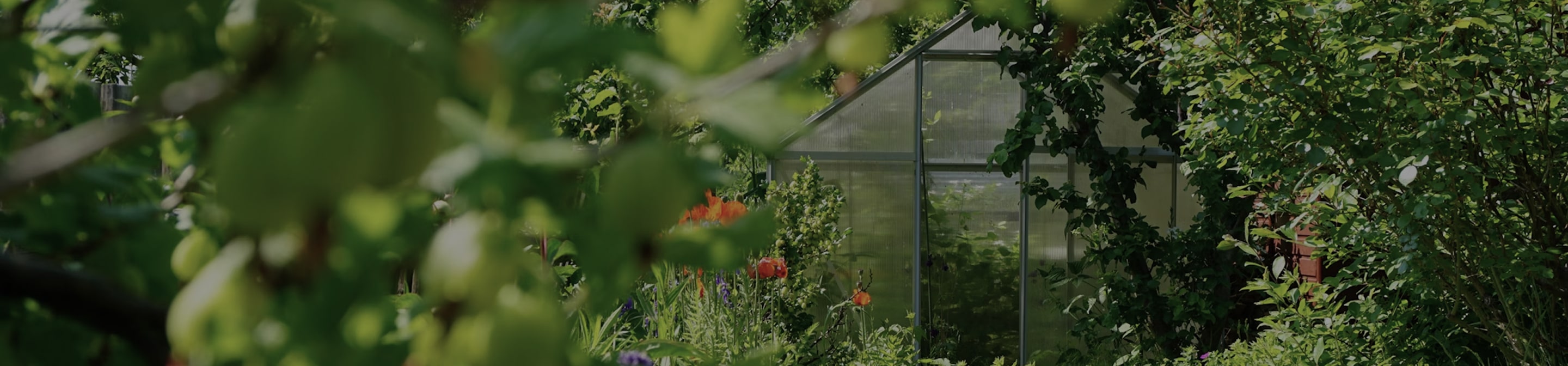 natridy kitchen composter