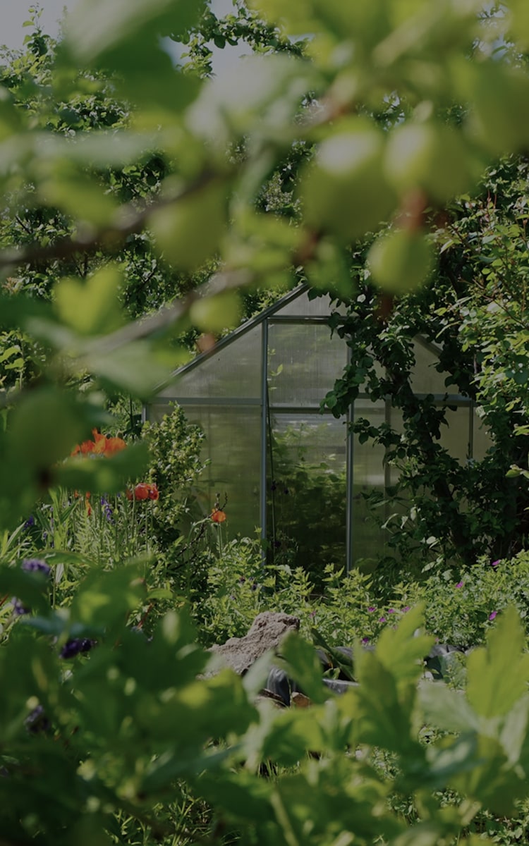 natridy kitchen composter