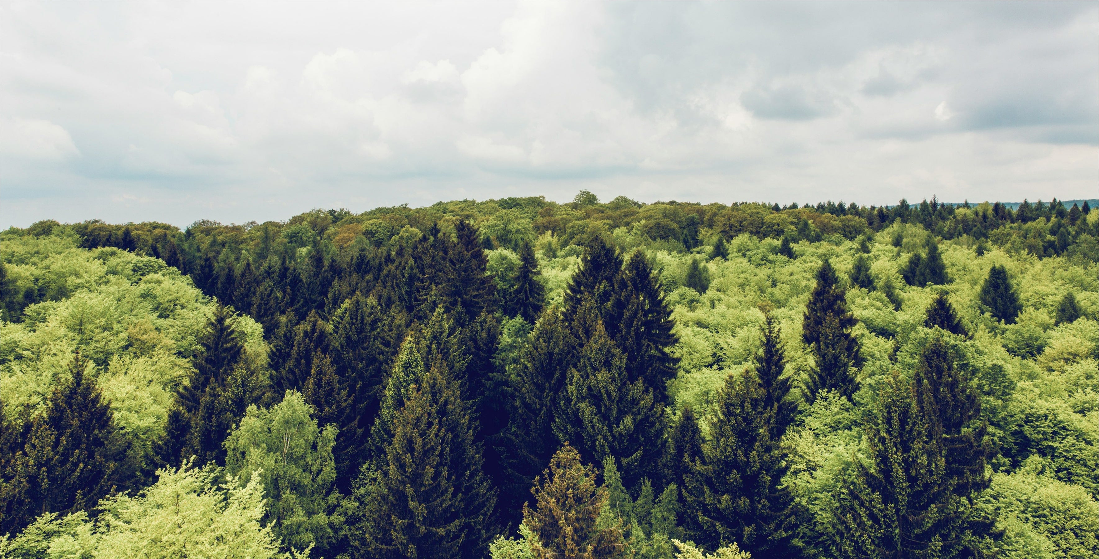 natridy kitchen composter