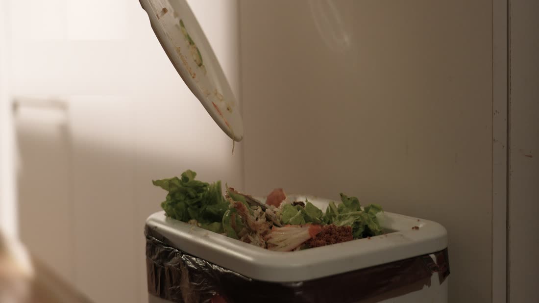 Traditional Disposal